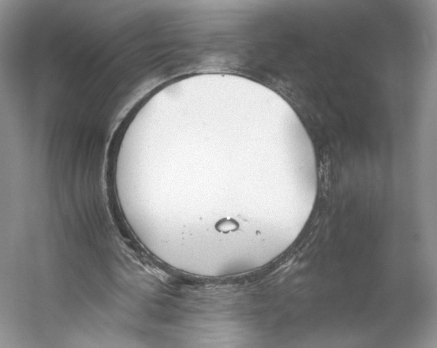 X0000053110292200508081233