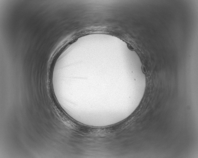 X0000053110293200508081232