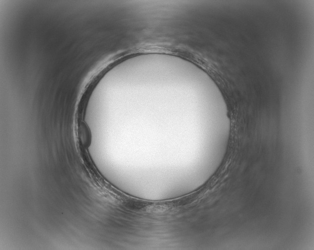 X0000053110294200508081232