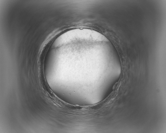 X0000053110295200508081232