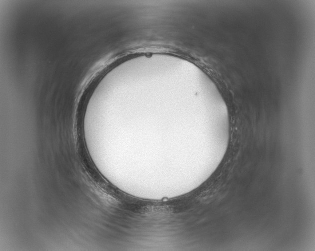 X0000053110296200508081232