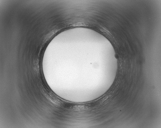 X0000053110298200508081232