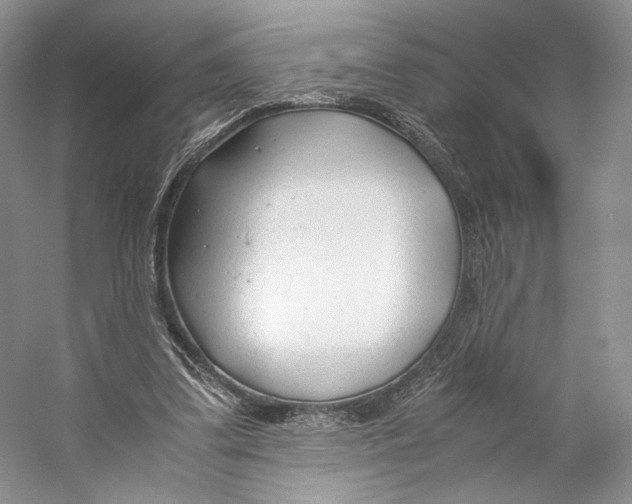 X0000053110299200508081232