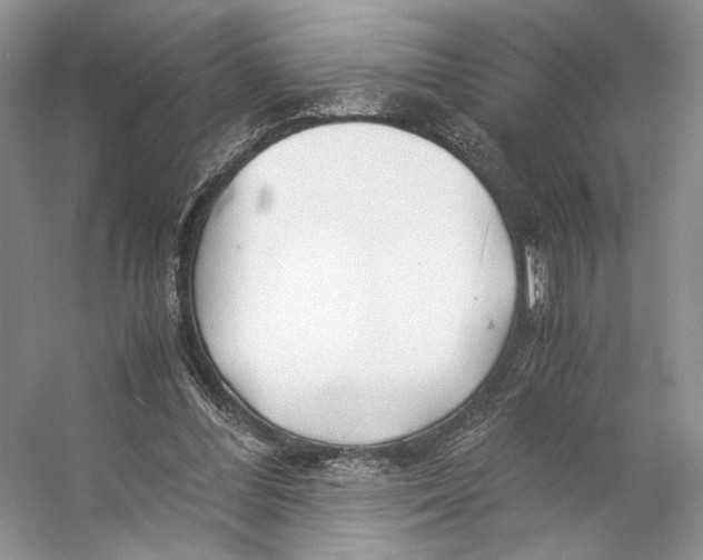 X0000053110300200508081232