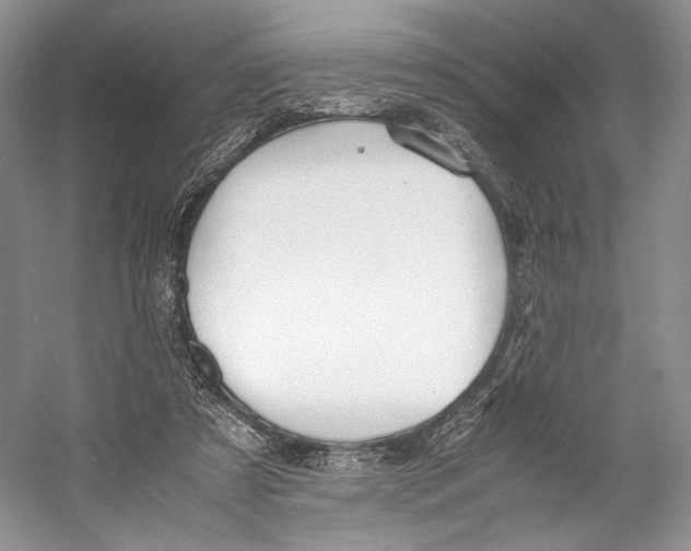 X0000053110305200508081232