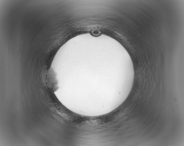 X0000053110307200508081232