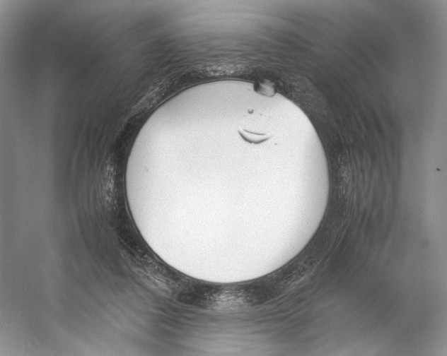 X0000053110308200508081232