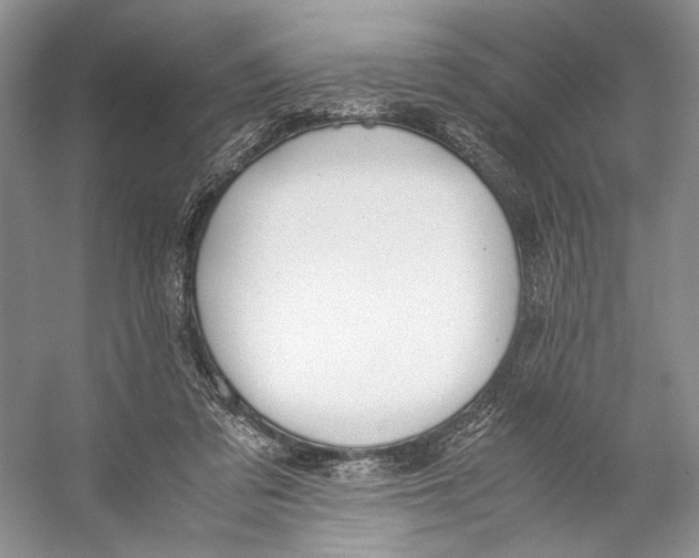 X0000053110309200508081232