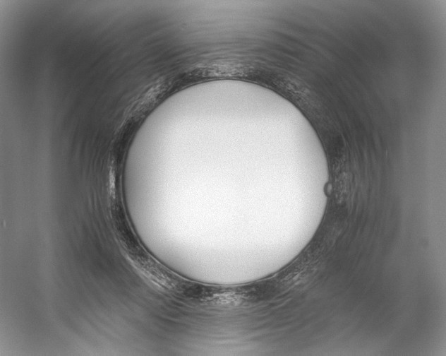 X0000053110310200508081232