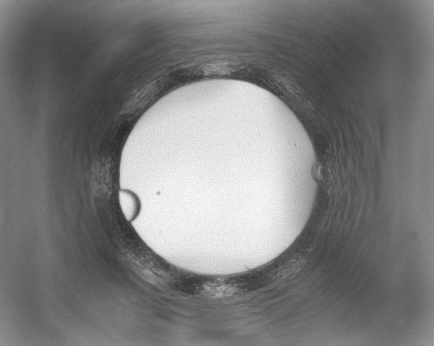 X0000053110311200508081232