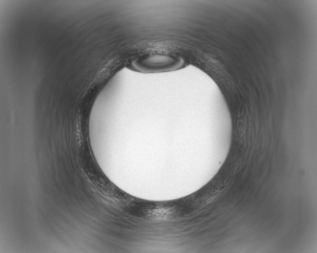 X0000053110312200508081232