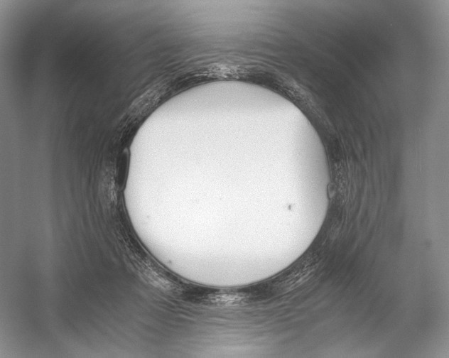 X0000053110313200508081232