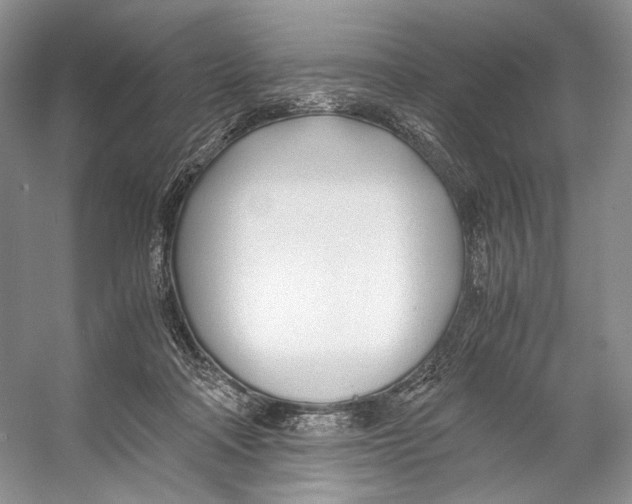 X0000053110314200508081232