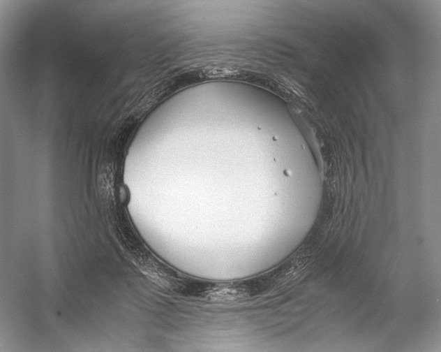 X0000053110315200508081232