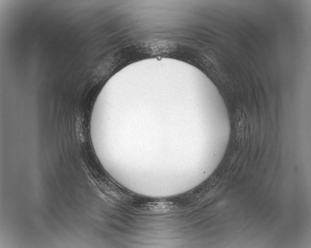 X0000053110316200508081232