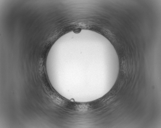 X0000053110318200508081232