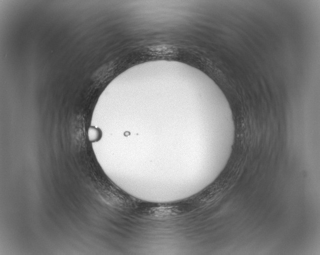 X0000053110320200508081232