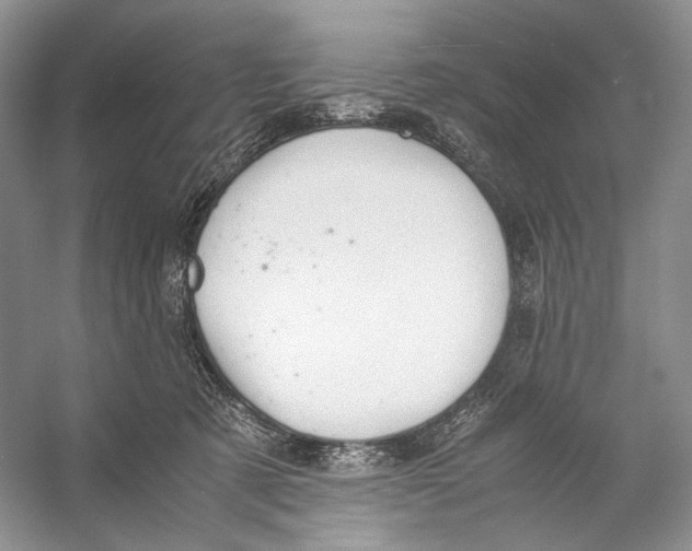 X0000053110321200508081232