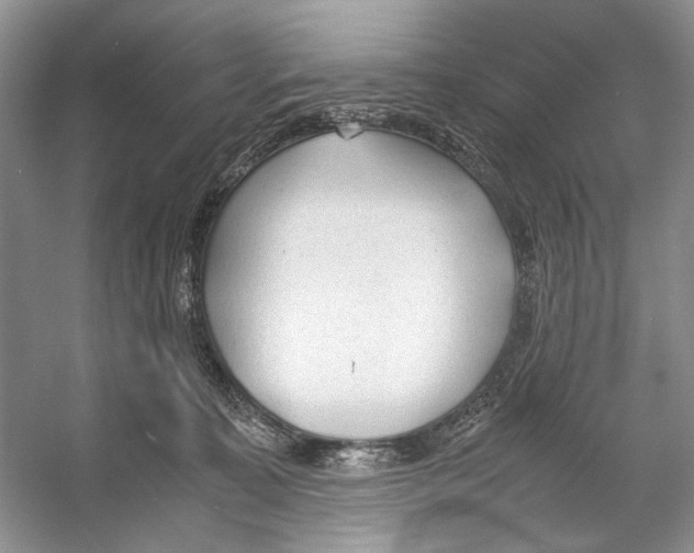 X0000053110323200508081232