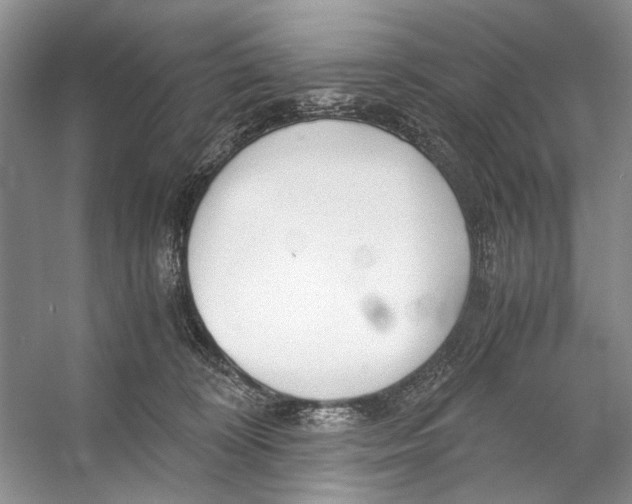 X0000053110324200508081232