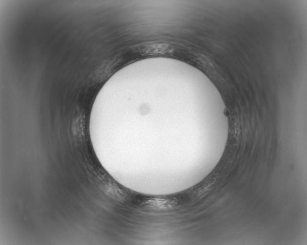 X0000053110326200508081232