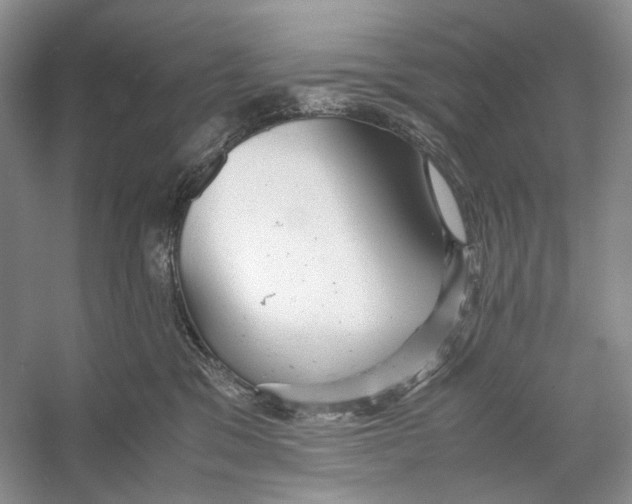 X0000053110329200508081232