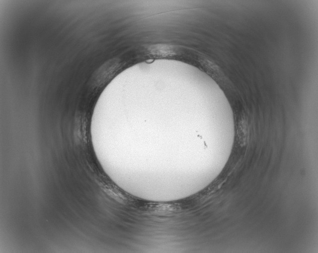 X0000053110330200508081232