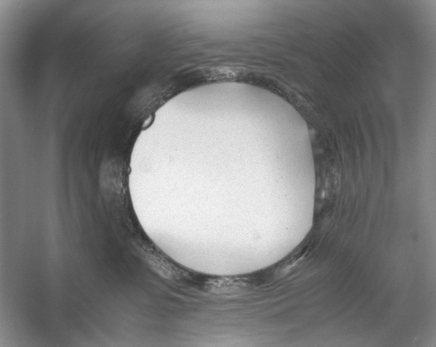 X0000053110331200508081232