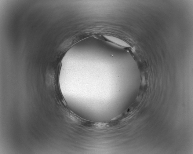 X0000053110333200508081232