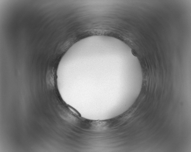 X0000053110334200508081232