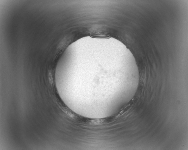 X0000053110335200508081232