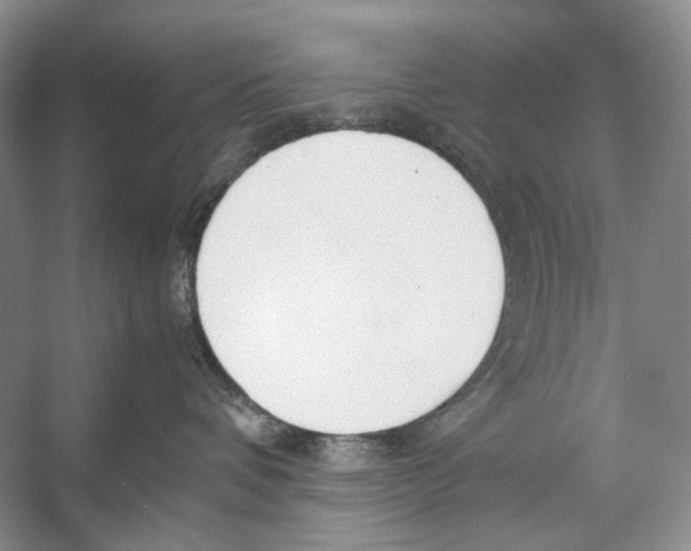 X0000053110336200508081232