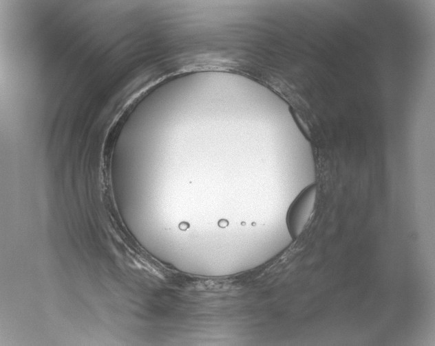 X0000053110338200508081231