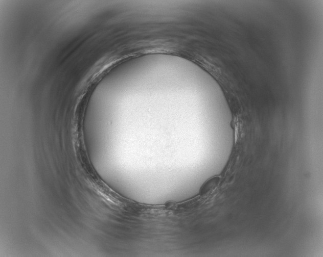 X0000053110339200508081231