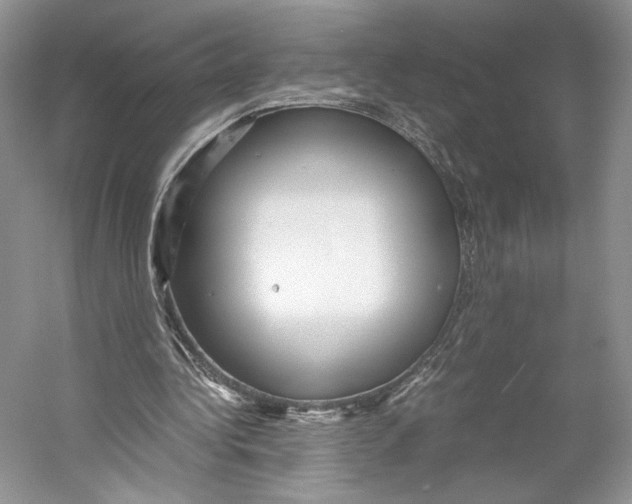 X0000053110340200508081231