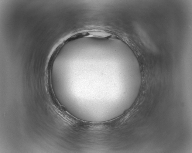 X0000053110342200508081231