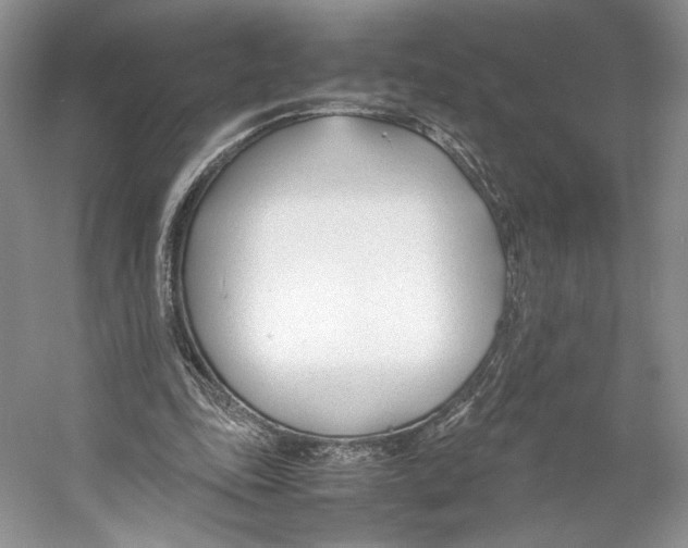 X0000053110343200508081231