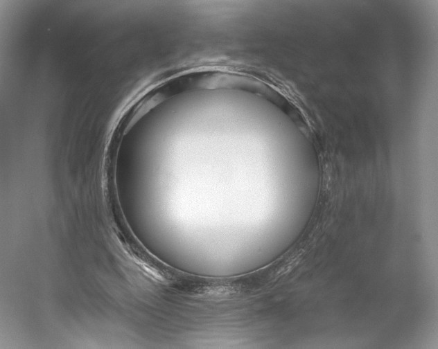 X0000053110344200508081231