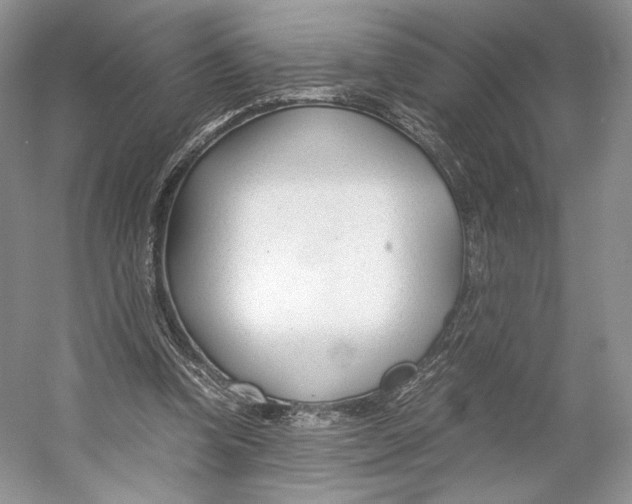 X0000053110346200508081231