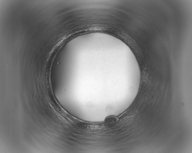 X0000053110347200508081231