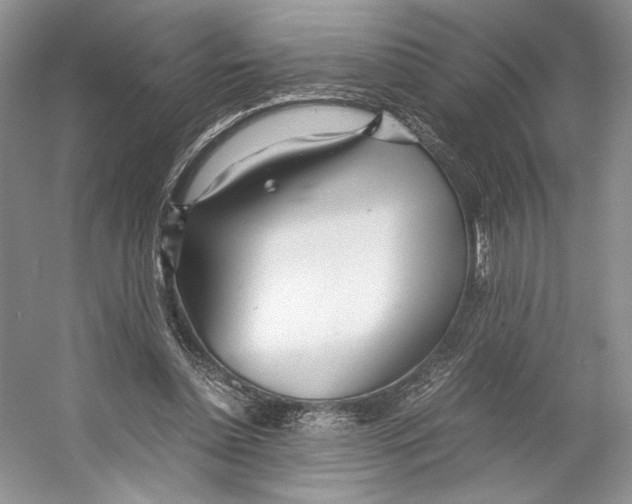 X0000053110348200508081231