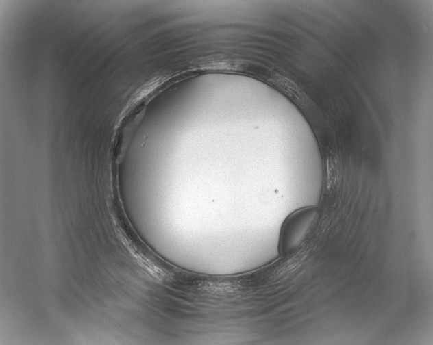 X0000053110349200508081231