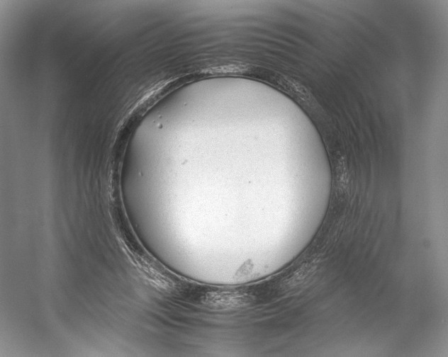 X0000053110351200508081231