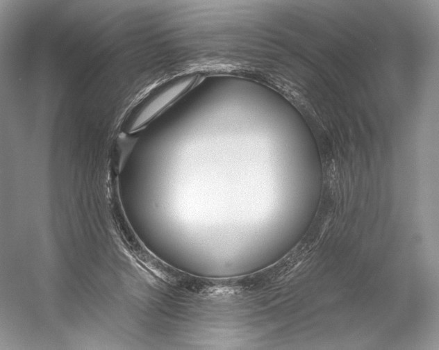 X0000053110352200508081231