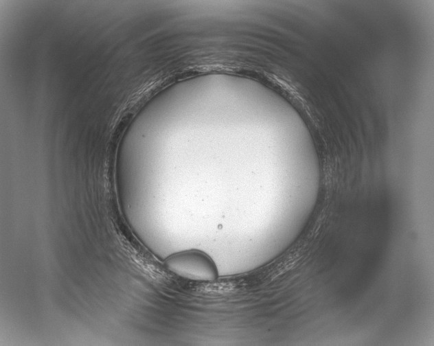 X0000053110353200508081231