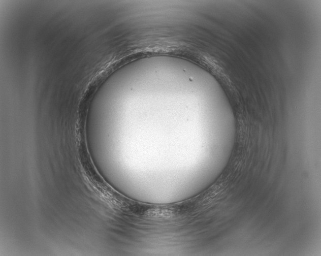 X0000053110354200508081231