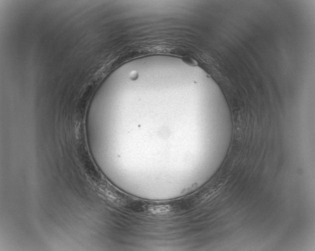 X0000053110355200508081231