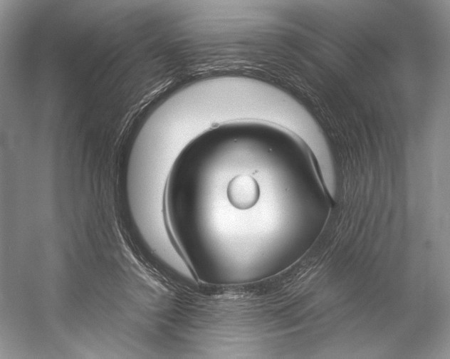 X0000053110356200508081231