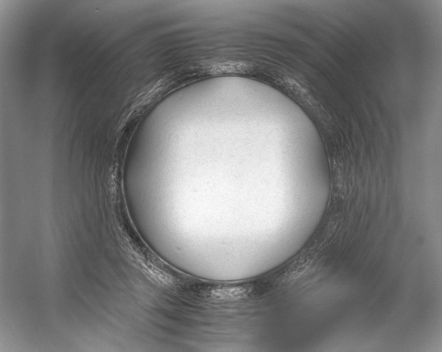 X0000053110357200508081231