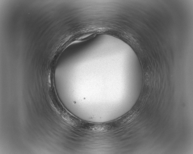 X0000053110358200508081231